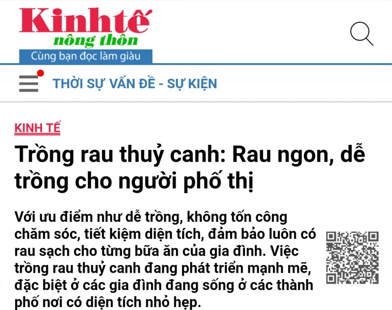 Trồng rau thuỷ canh: Rau ngon, dễ trồng cho người phố thị - Báo Kinh Tế  Nông Thôn