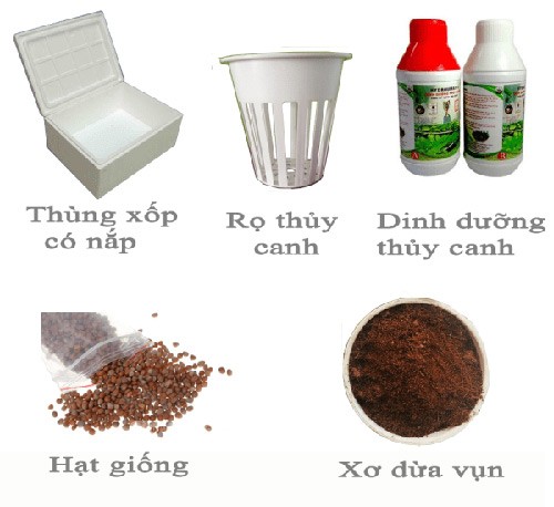 Tư vấn lắp đặt trồng rau thủy canh tại nhà thuycanhnongthi.com