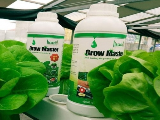 Hướng dẫn cách pha chế dung dịch thủy canh Grow Master